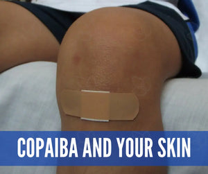 Copaiba Essential Oil Academy Digital Online Class