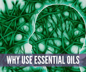 School Time And Essential Oils Oil Academy Digital Online Class