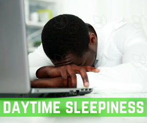 Essential Oils And Sleep Oil Academy Digital Online Class