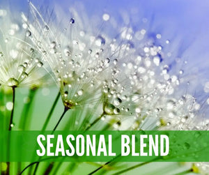 Essential Oils For Support And Relief Oil Academy Digital Online Class