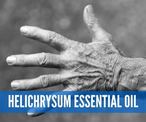 Essential Oils For Support And Relief Oil Academy Digital Online Class