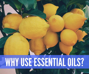 Essential Oils For Teachers Oil Academy Digital Online Class