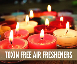 Essential Oils For Toxin-Free Living Oil Academy Digital Online Class