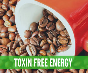 Essential Oils For Toxin-Free Living Oil Academy Digital Online Class