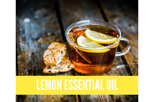 Essential Oils For Winter Wellness Oil Academy Digital Online Class