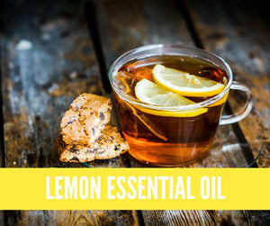 Essential Oils For Winter Wellness Oil Academy Digital Online Class