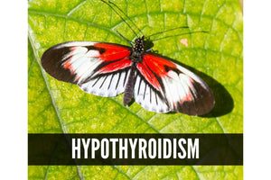 Essential Oils For Thyroid Support Oil Academy Digital Online Class