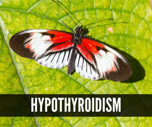 Essential Oils For Thyroid Support Oil Academy Digital Online Class
