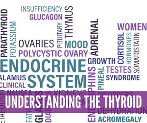 Essential Oils For Thyroid Support Oil Academy Digital Online Class