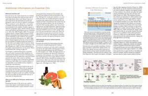 Modern Essentials 2024 Hard Cover 16Th Edition