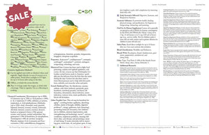 Modern Essentials 2024 Hard Cover 16Th Edition