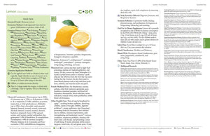 Modern Essentials 2024 Hard Cover 16Th Edition