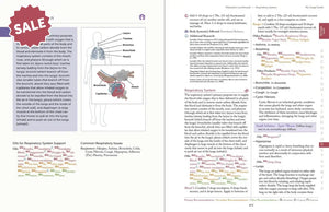 Modern Essentials 2024 Hard Cover 16Th Edition
