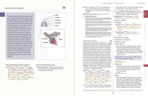 Modern Essentials 2024 Hard Cover 16Th Edition