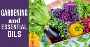 "Gardening and Essential Oils" Essential Oil Academy Digital Online Class