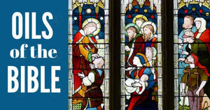 "Oils for the Bible" Essential Oil Academy Digital Online Class