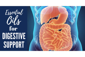 "Essential Oils for Digestive Support" Essential Oil Academy Digital Online Class