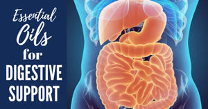 "Essential Oils for Digestive Support" Essential Oil Academy Digital Online Class