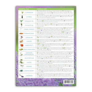 Modern Essentials®: Essential Oils And Blends Quick Usage Binder Chart 10Th Edition