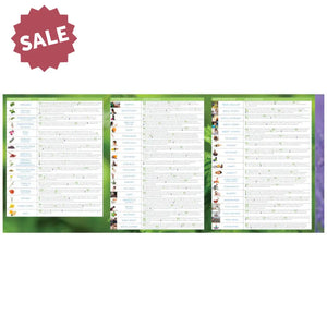 Spanish Modern Essentials: Essential Oils And Blends Quick Usage Binder Chart 11Th Edition