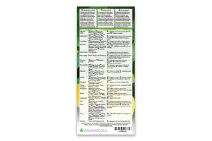 French Modern Essentials Reference Cards 13Th Edition (Pack Of 25)