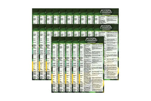 French Modern Essentials Reference Cards 13Th Edition (Pack Of 25)