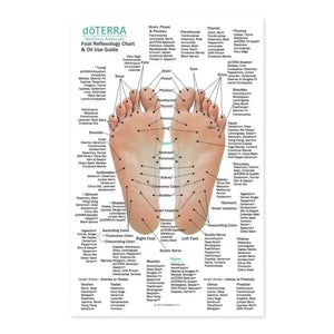 Mini Foot And Hand Reflexology Chart (8-1/2 X 5-1/2)