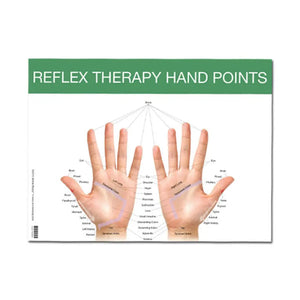 Reflex Points For Foot And Hand Chart (8-1/2 X 11)
