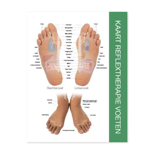 Reflex Points For Foot And Hand Chart (8-1/2 X 11) Dutch