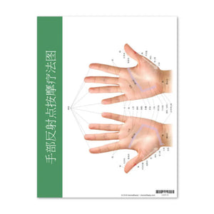 Reflex Points For Foot And Hand Chart (8-1/2 X 11) Simplified Chinese