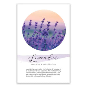 Lavender Show and Share Digital Highlight Card