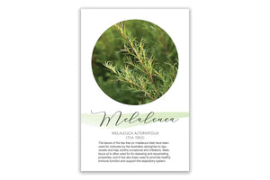 Melaleuca Show and Share Digital Highlight Card