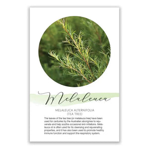 Melaleuca Show and Share Digital Highlight Card
