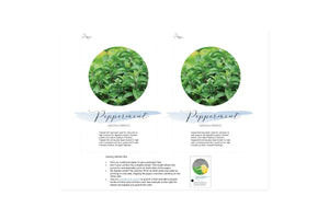 Assorted Show And Share Digital Highlight Cards (Set Of 11)