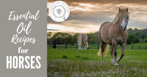 "Essential Oil Recipes for Horses" Essential Oil Academy Digital Online Class