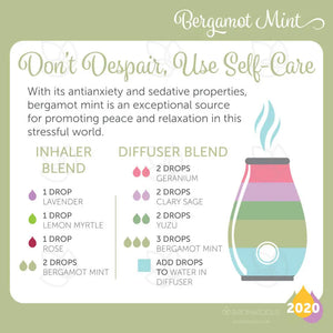 2020 Pursue: New Oils Recipe Guide E-Book