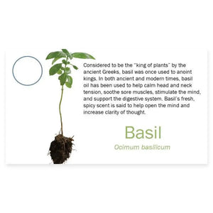 3274Basil