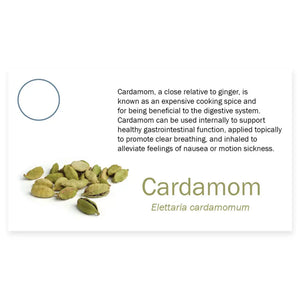 Essential Oil Pass Along Sample Cards Cardamom