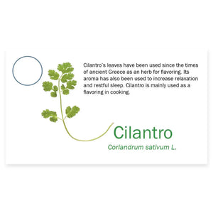 Essential Oil Pass Along Sample Cards Cilantro