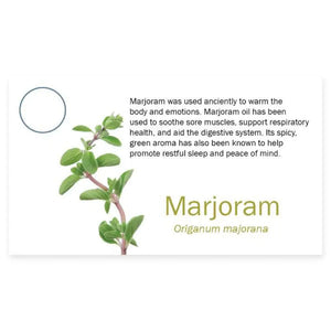 3274Marjoram
