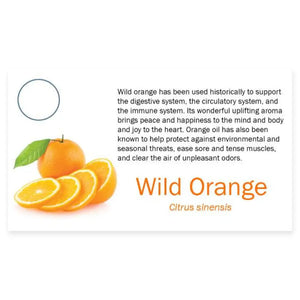 3274WildOrange