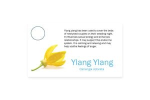 Essential Oil Pass Along Sample Cards Ylang