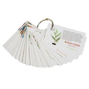 doTERRA® Pass-along Card Set on a Ring (60 Cards)