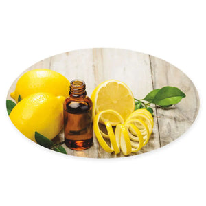 Assorted Aroma Share Gift Tags (Set Of 24)