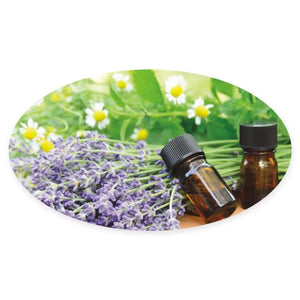 Assorted Oval Aroma Share Gift Tags (Set of 12)