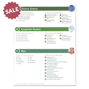 Detox & Renew With Essential Oils 2-Page Foldout (Pack Of 25)