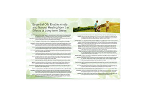 Chiropractic & Essential Oils: Live A Stress-Free Healthy Life 2-Page Foldout (Pack Of 25)