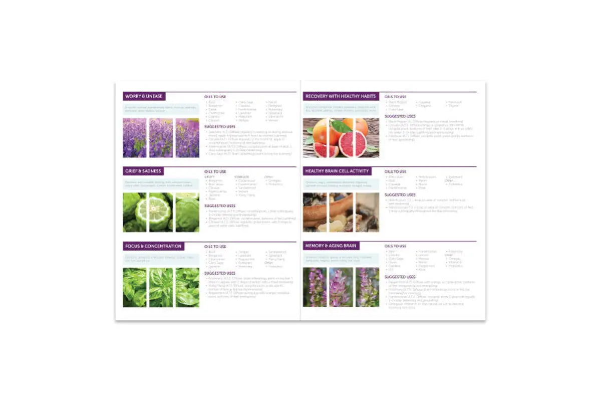 "Essential Oils and the Brain" 2-Page, Foldout Guide (Pack of 25)