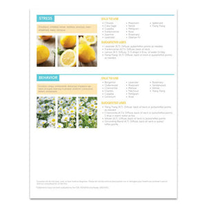 Essential Oils And The Brain For Children 2-Page Foldout Guide (Pack Of 25)