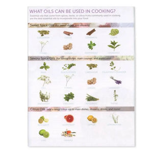 Cooking With Essential Oils Handout (Pack Of 25)